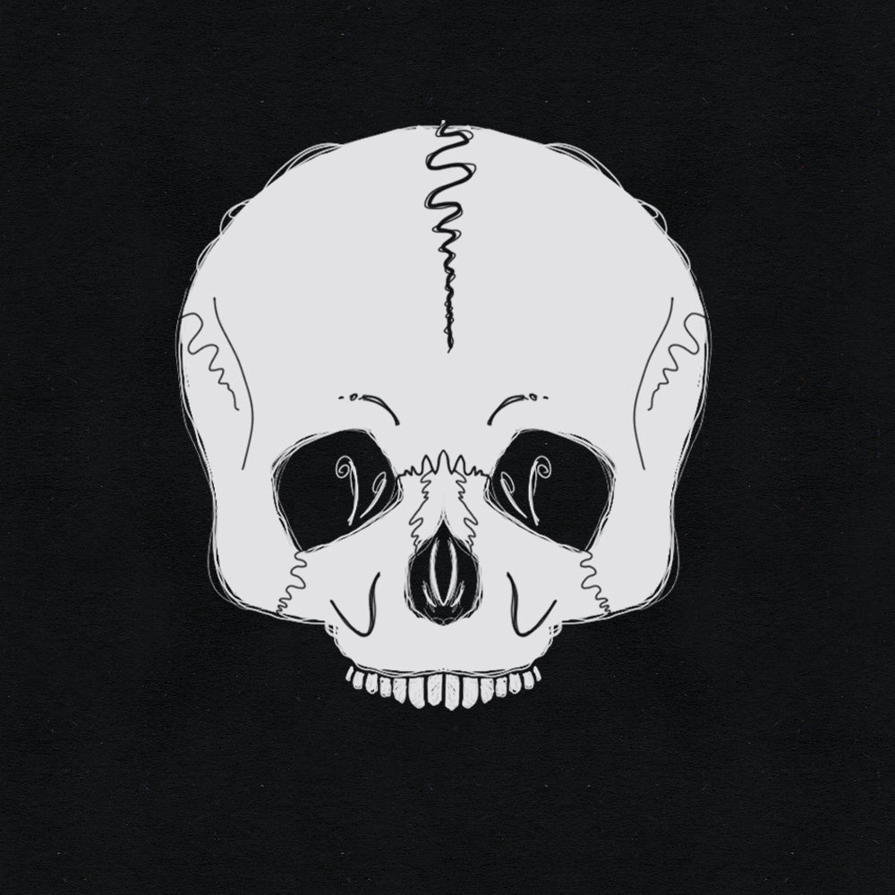 Skulls